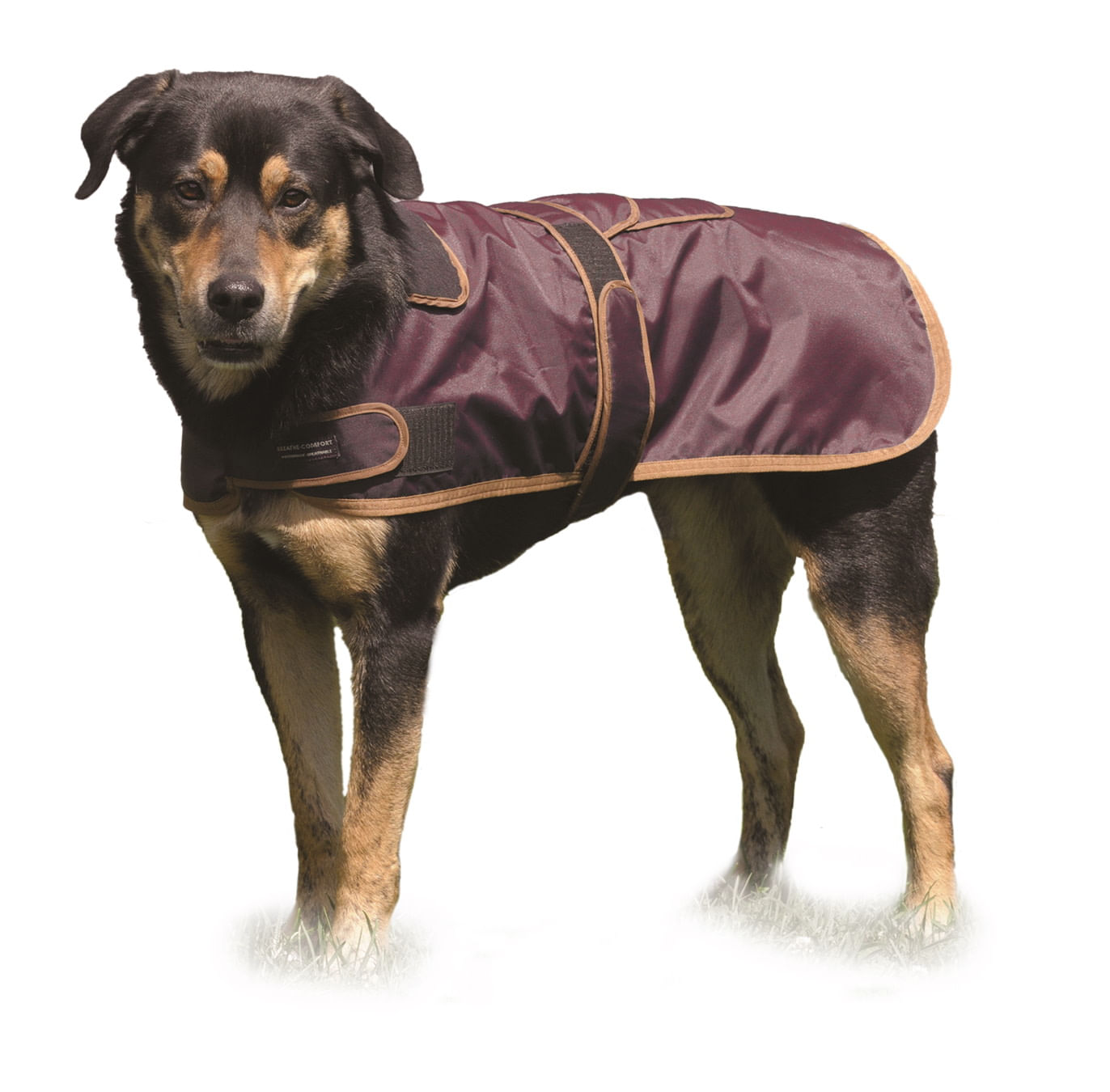 Irideon キッズ ウィンドプロ